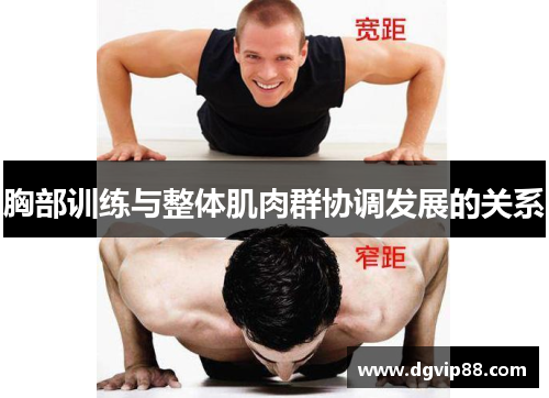 胸部训练与整体肌肉群协调发展的关系